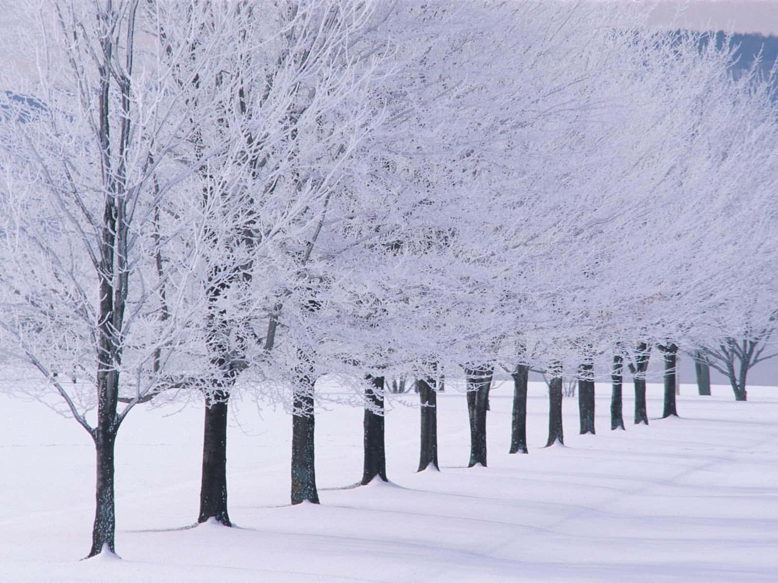 cute winter backgrounds 0094