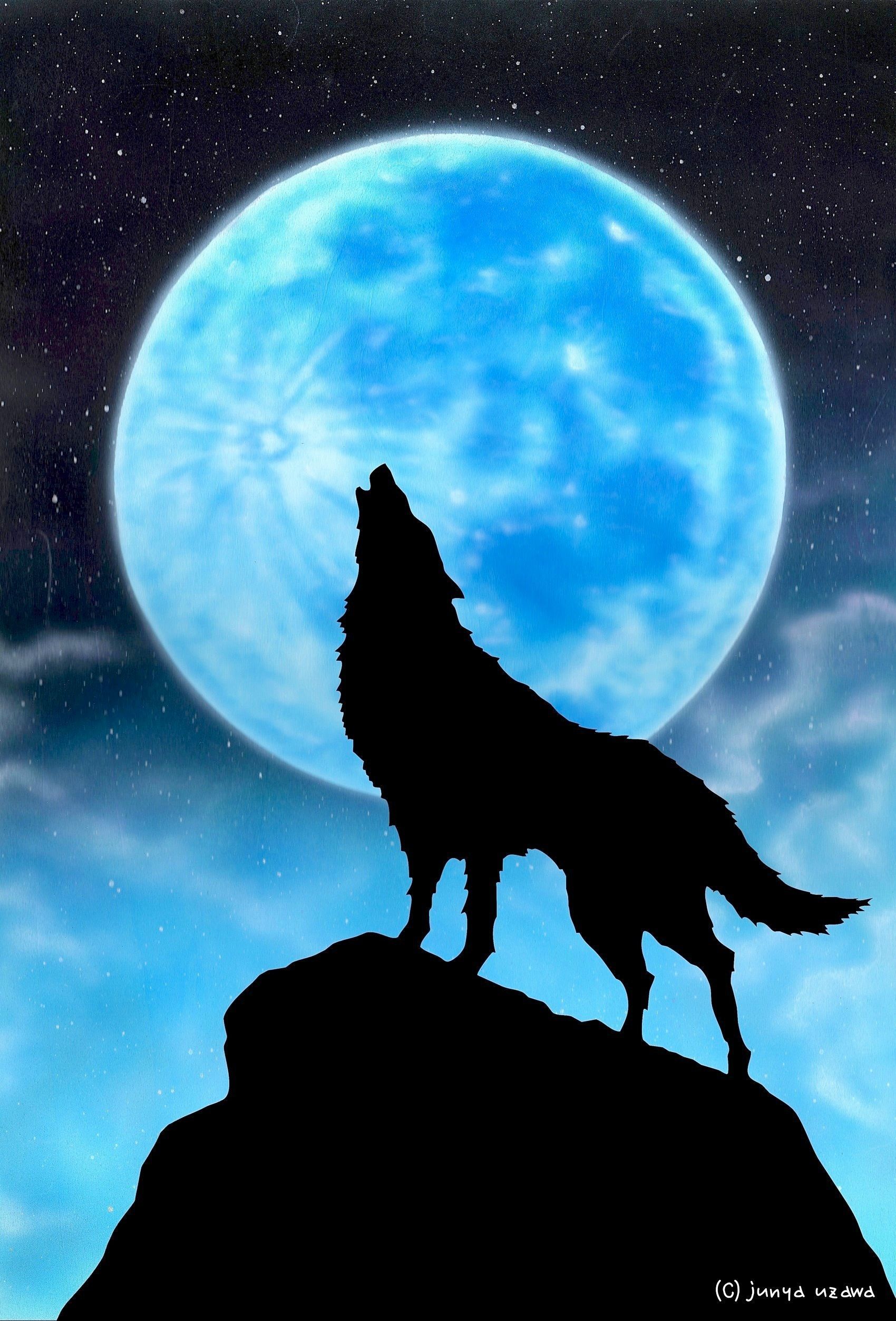 cute wolf backgrounds 0023