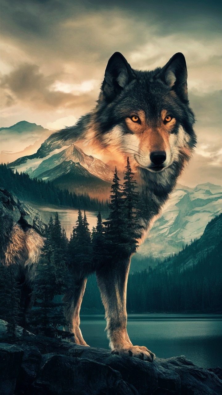 cute wolf backgrounds 0033