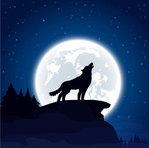 cute wolf backgrounds 0045