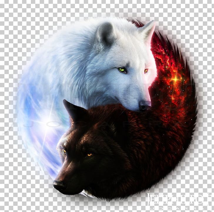 cute wolf backgrounds 0058