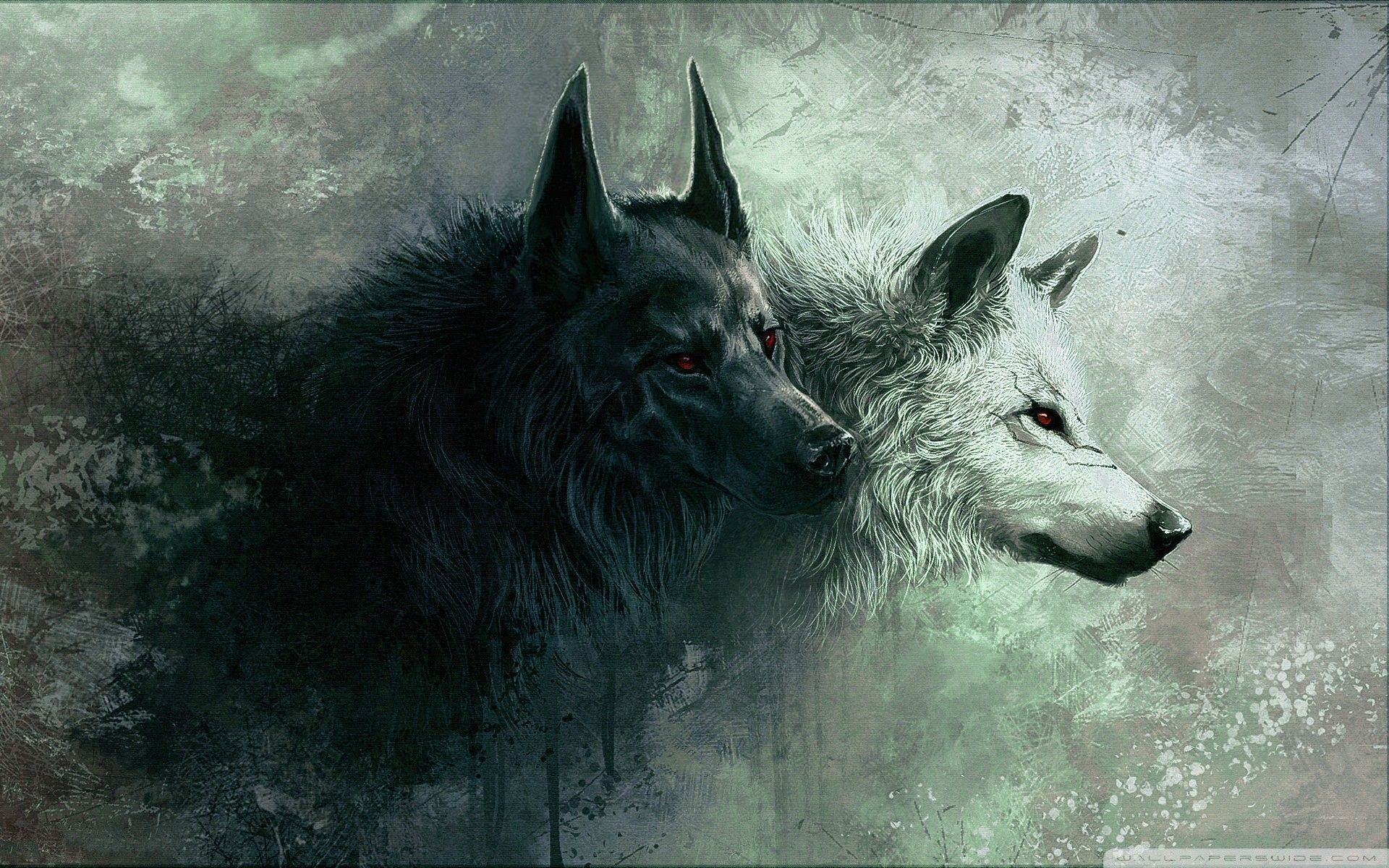 cute wolf backgrounds 0075