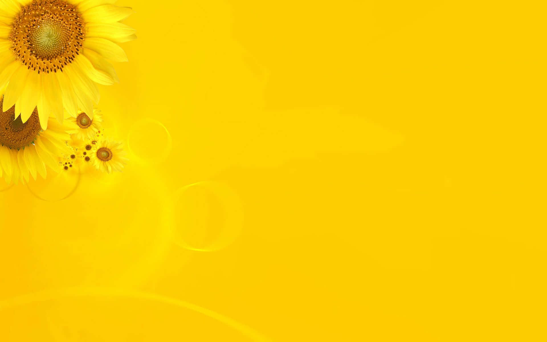 cute yellow backgrounds 0062