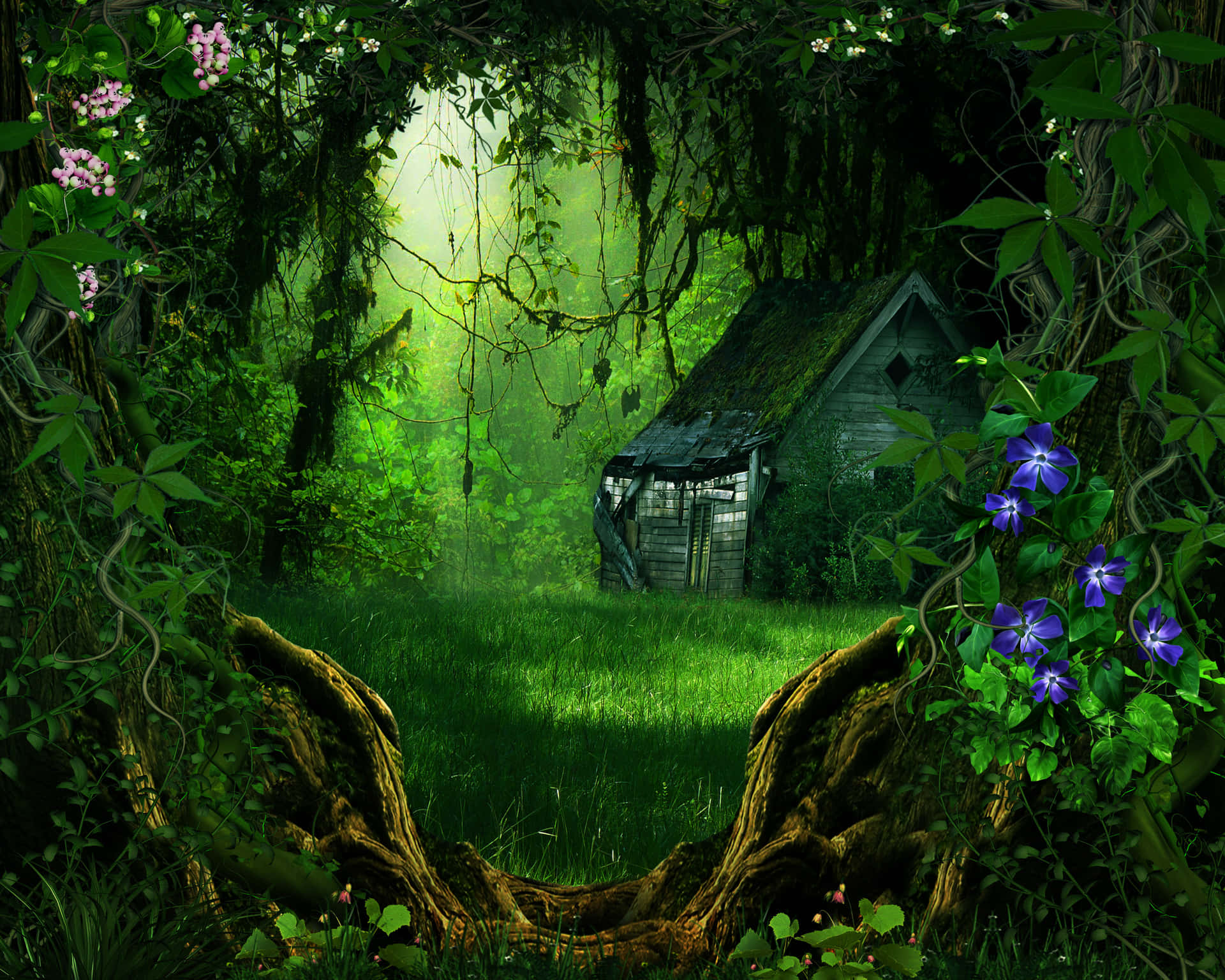 delightful 3D forest backgrounds for kids