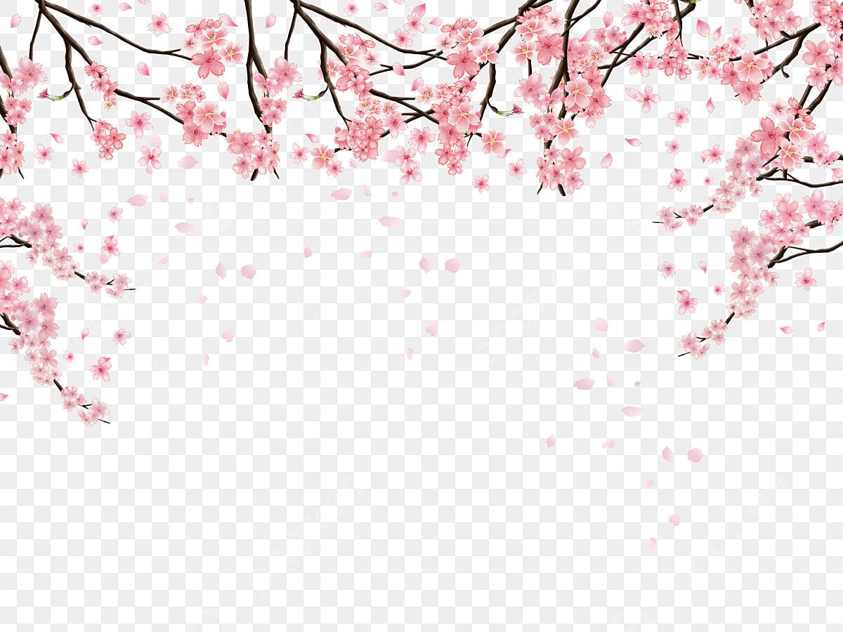 delightful cherry blossom designs