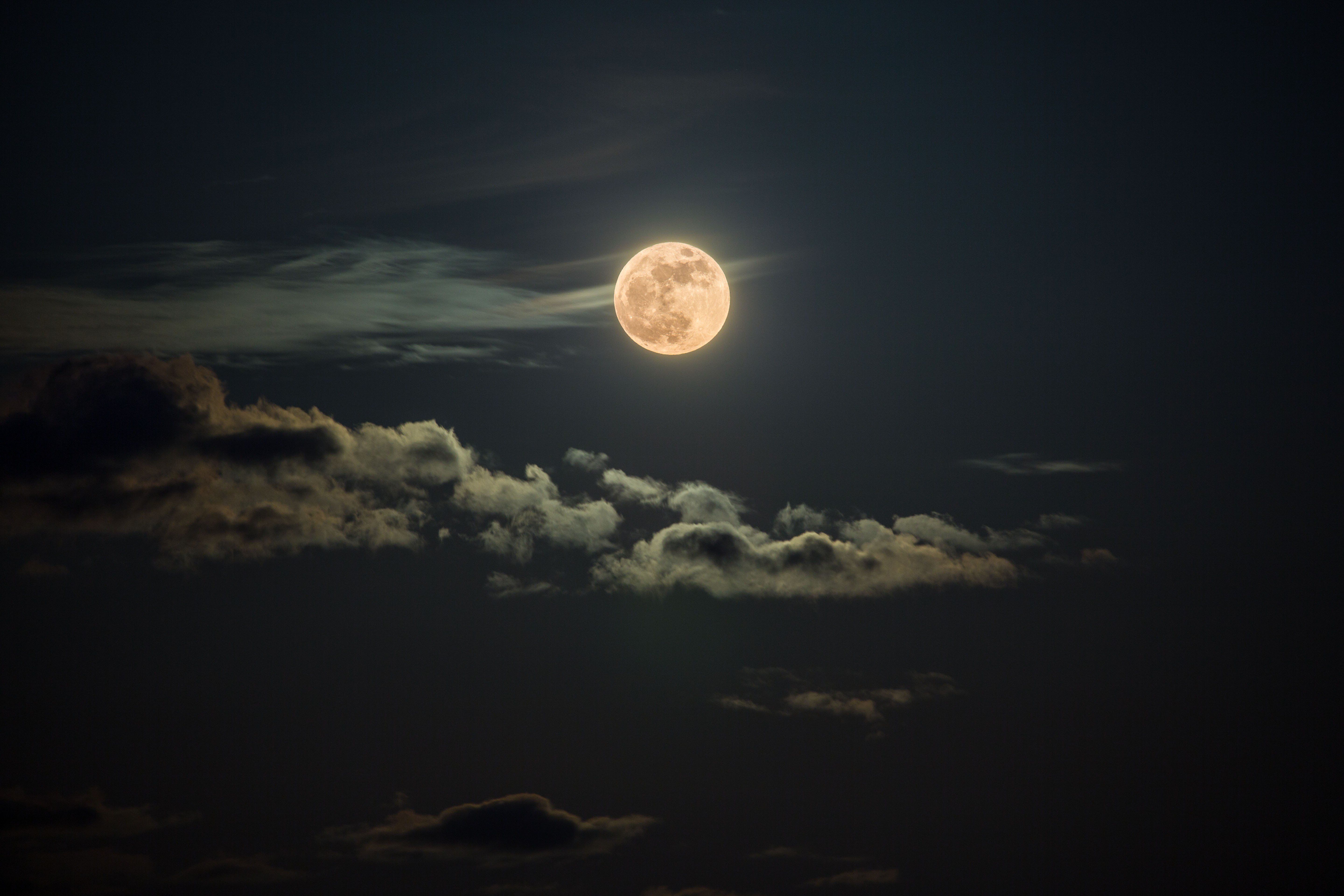 delightful moon scene backgrounds