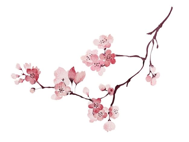 enchanting cherry blossom imagery