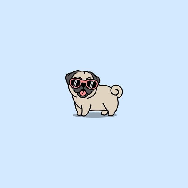 eye-catching cute pug backgrounds.