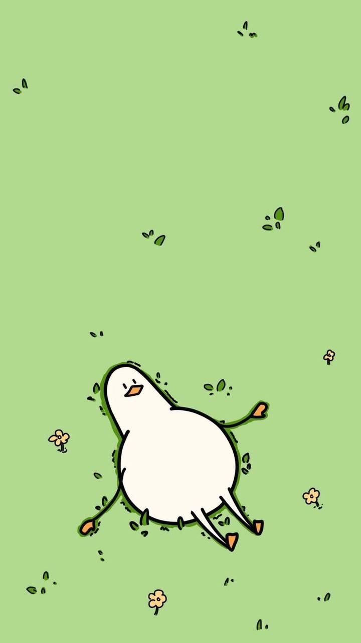 high-quality cute duck wallpapers