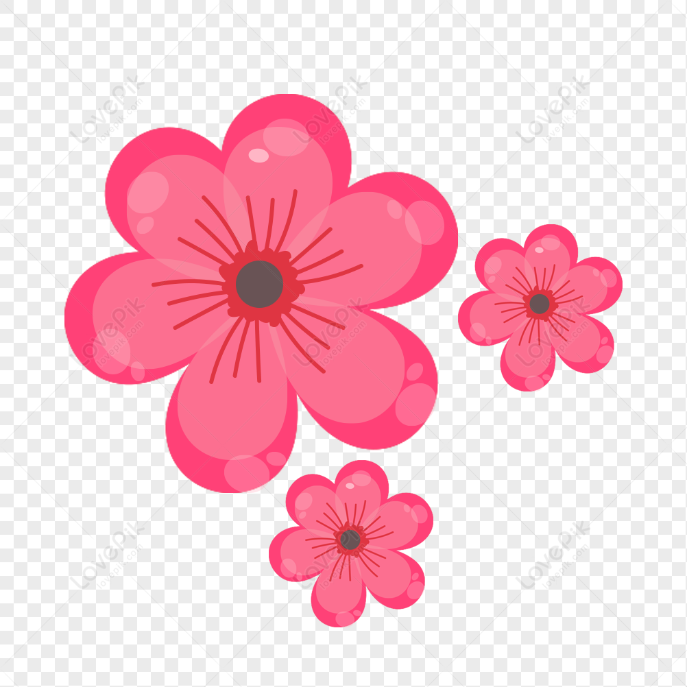 high-quality images of cute flowers transparent backgrounds.