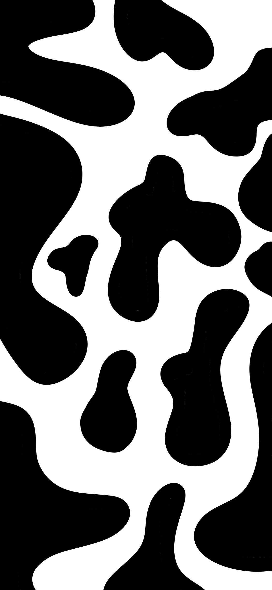 lovely cow print backgrounds for social media