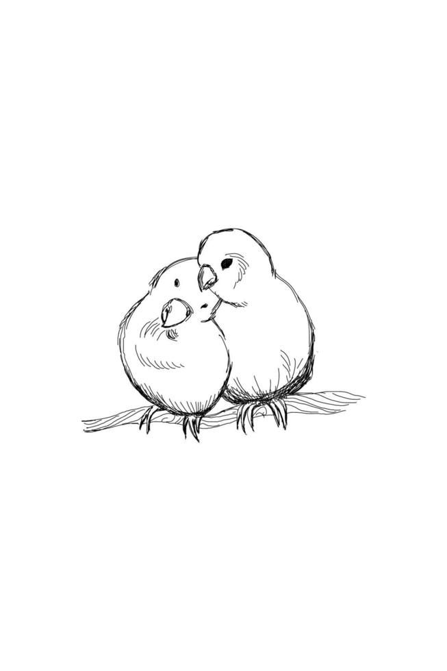 lovely cute bird illustrations for personal use.