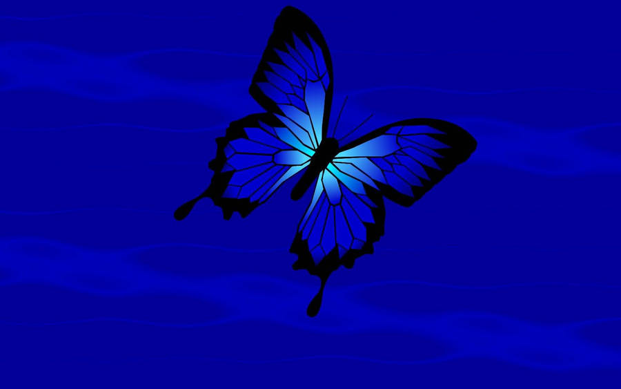 lovely cute blue butterfly designs