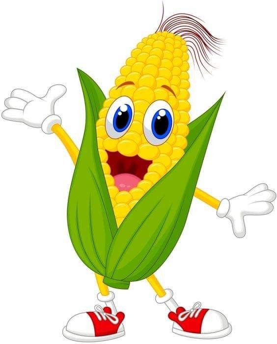 lovely cute corn backdrop styles