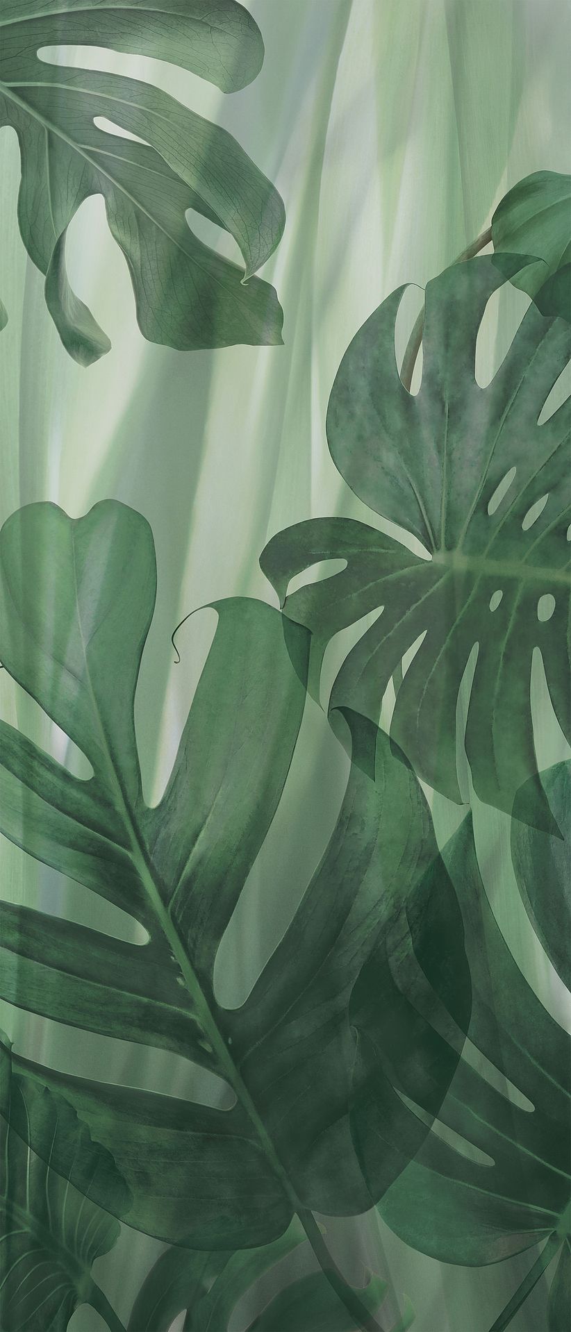 lovely nature-inspired backgrounds for tablets