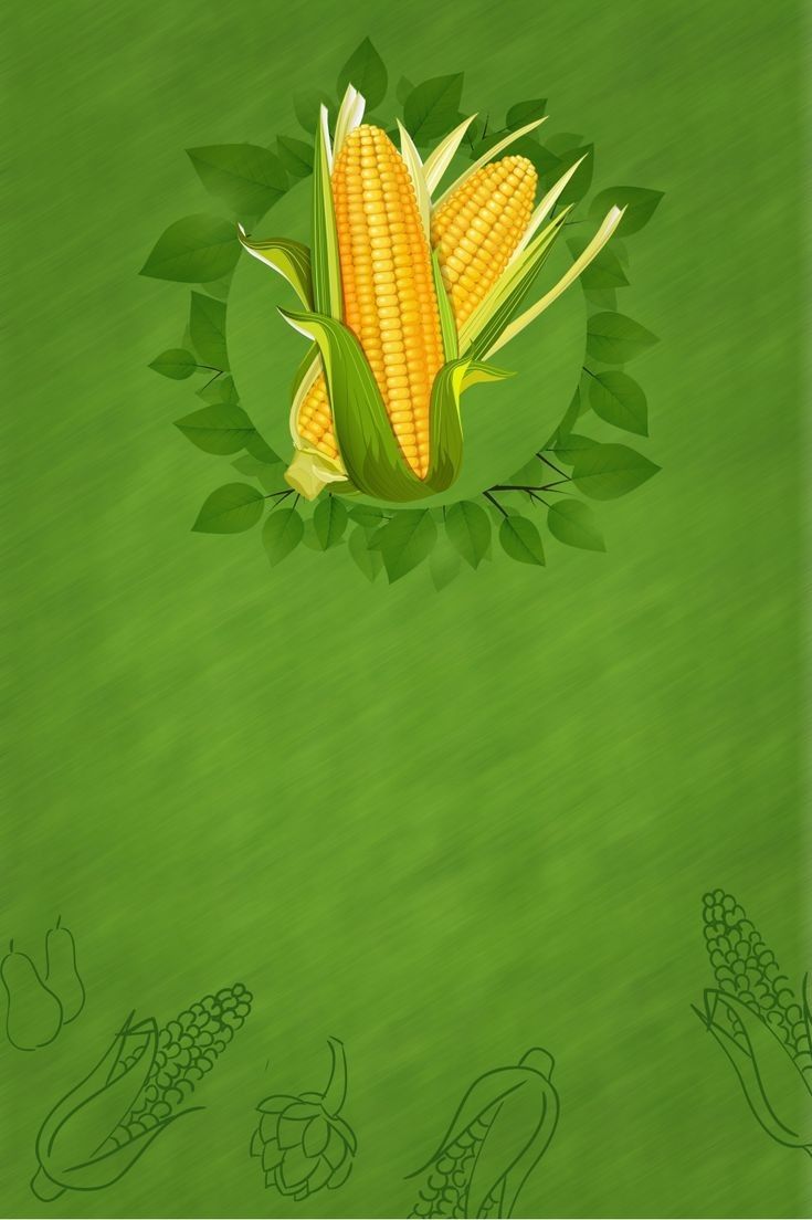 playful corn background images