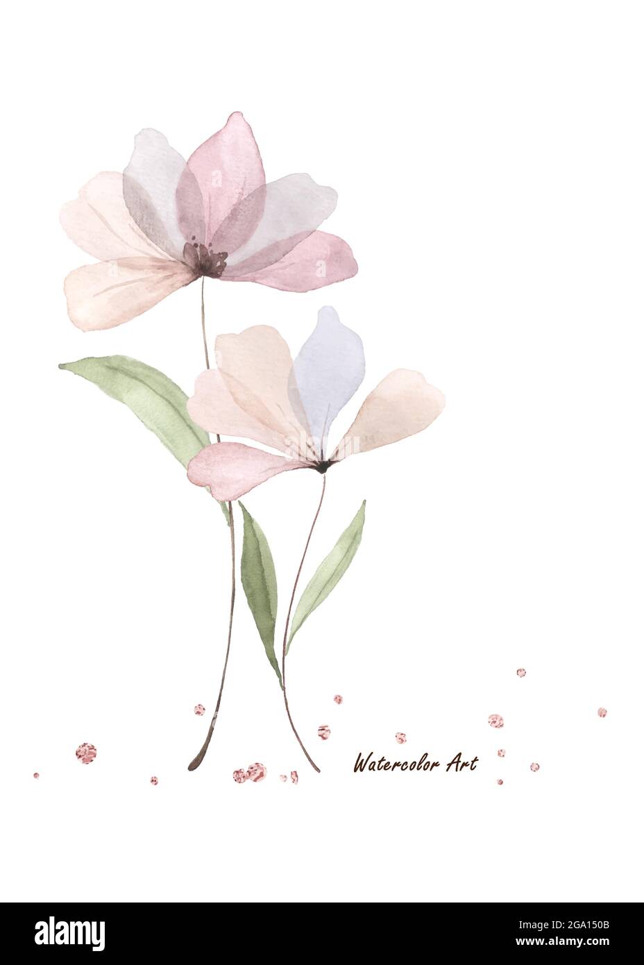 playful designs of cute flowers on transparent backgrounds