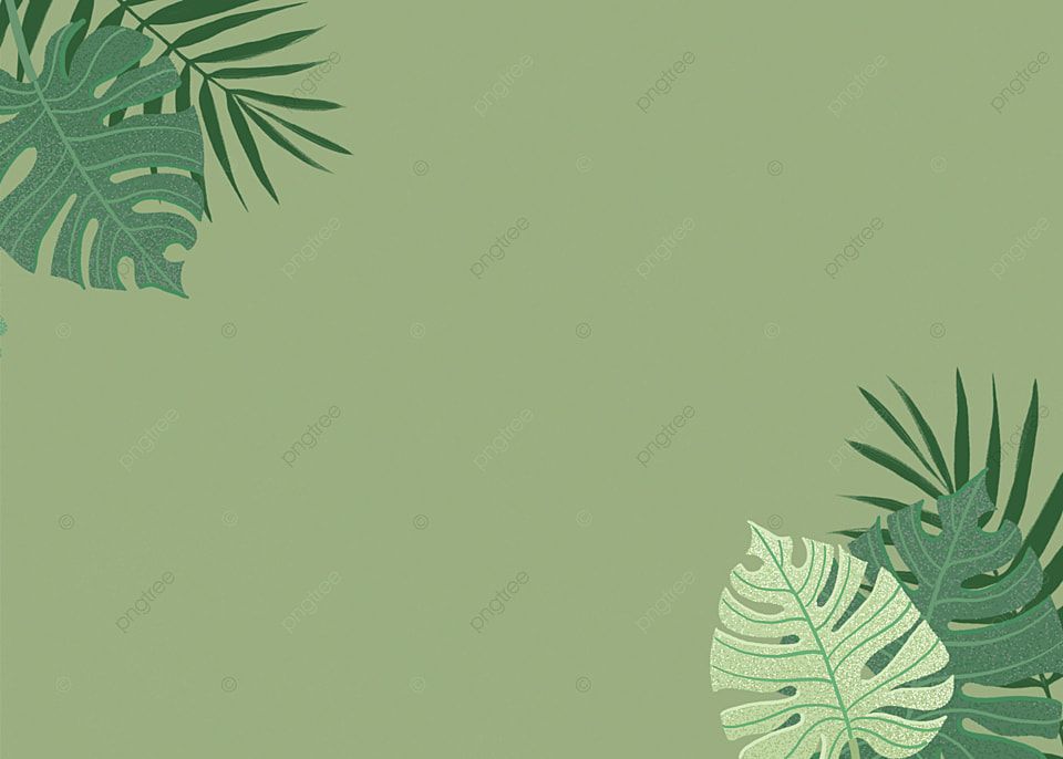 playful greenery backgrounds for social media