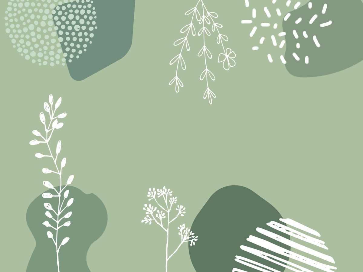 refreshing cute sage green visuals