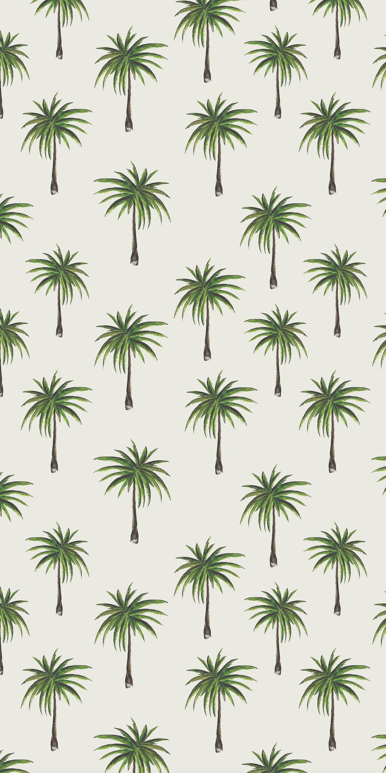 stunning cute palm tree photos for desktop personalization.