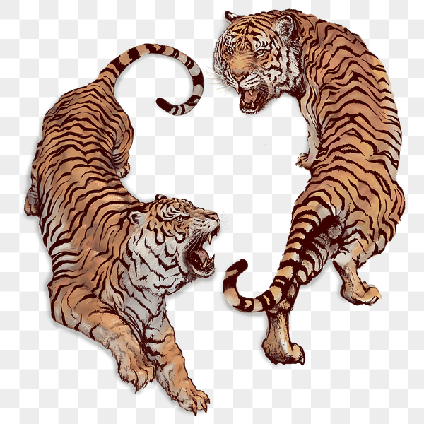 cute tiger backgrounds