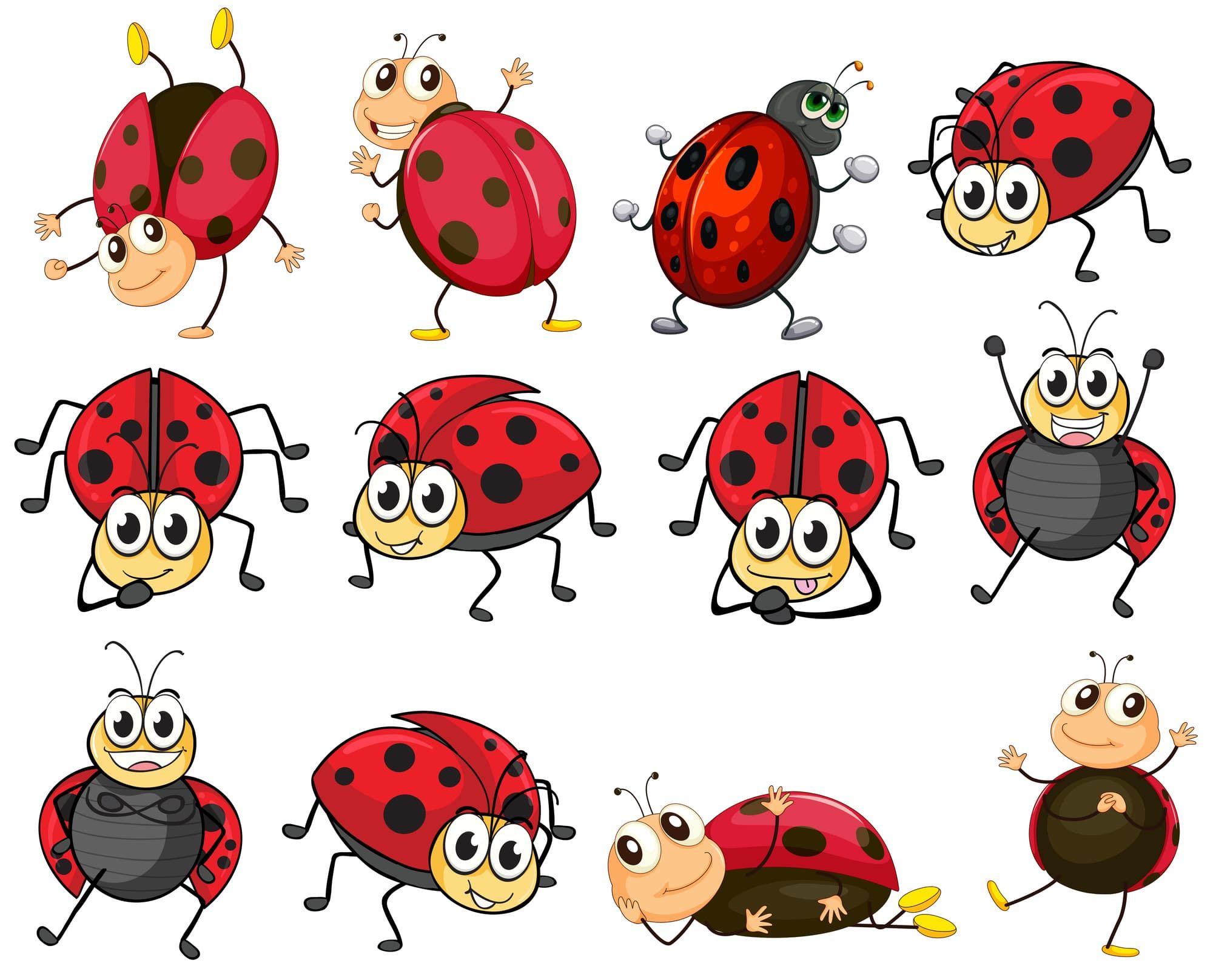 sweet ladybug backgrounds for creative use