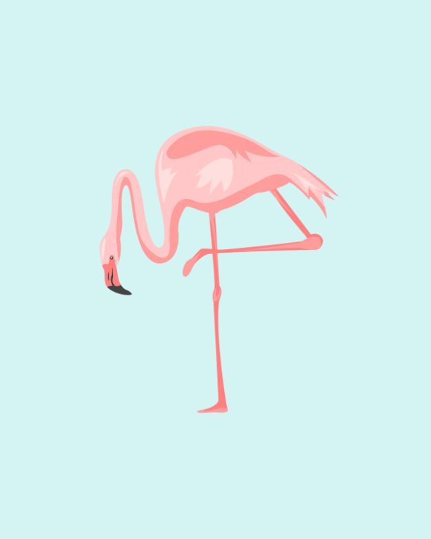 trendy cute flamingo backgrounds for Instagram