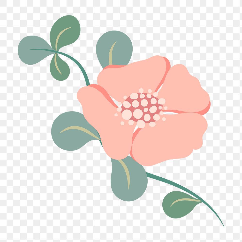 unique cute flowers transparent background collections