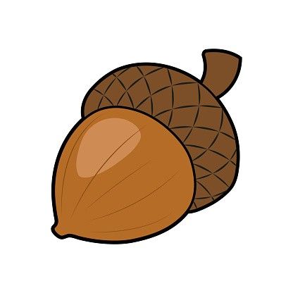 vibrant cute acorn backgrounds for devices