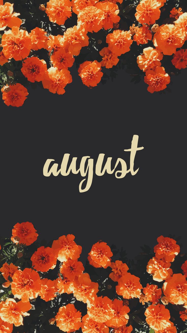 vibrant cute backgrounds for August