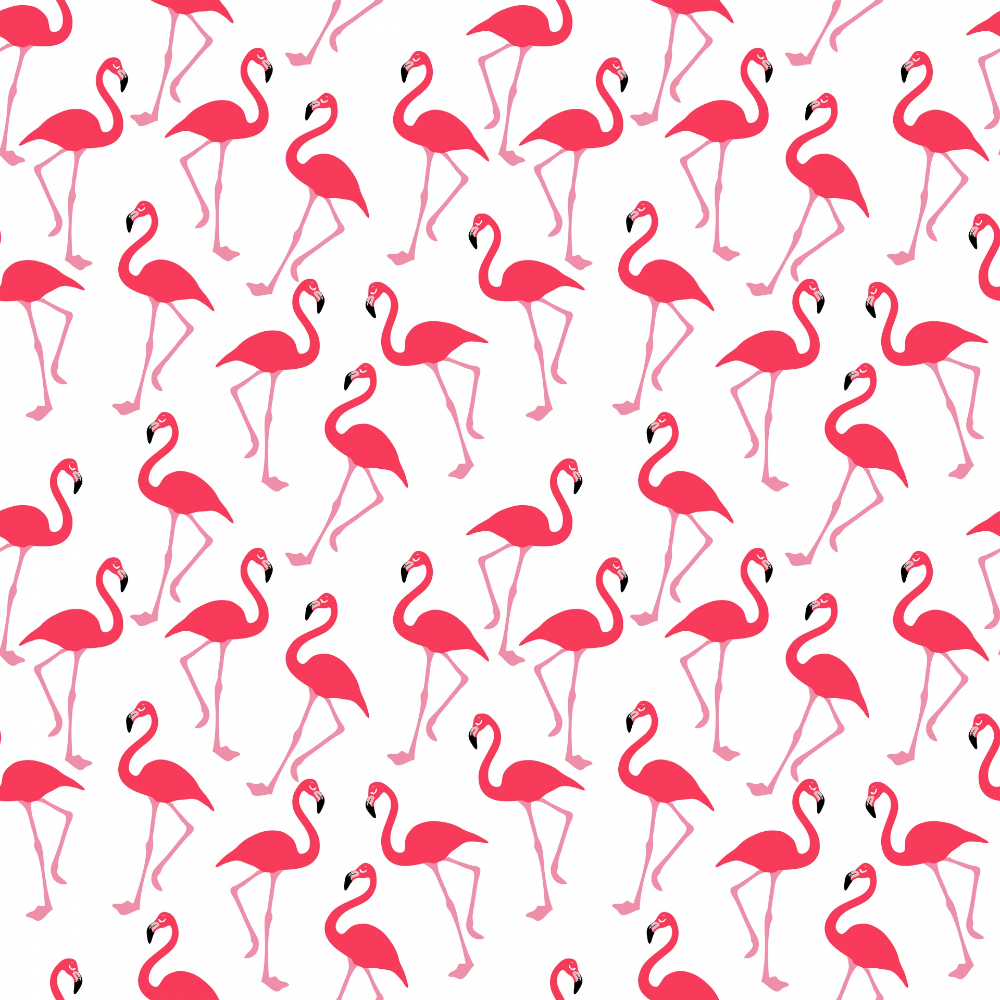 vibrant cute flamingo backgrounds for blogs