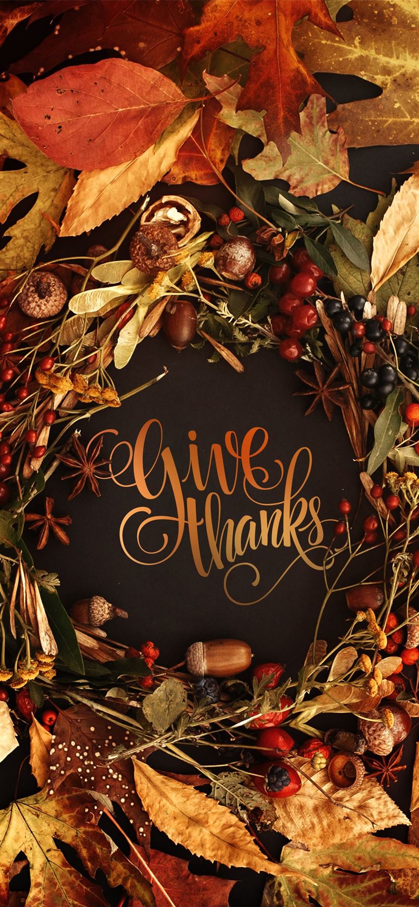 wallpaper cute Thanksgiving backgrounds 0074