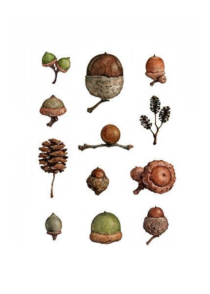 whimsical acorn motifs for creative projects