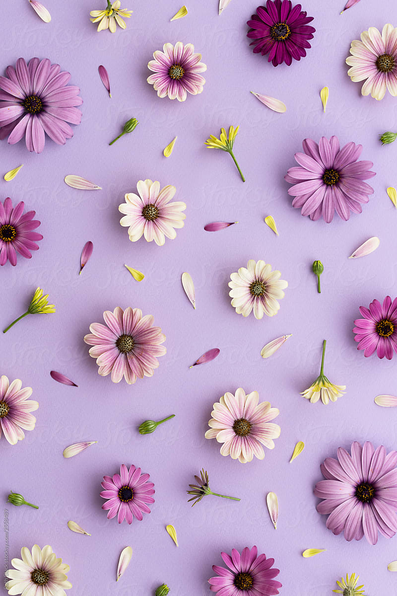 whimsical cute flower backgrounds for websites