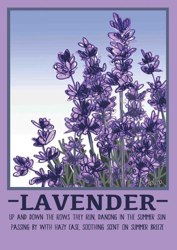 whimsical cute lavender designs for projects