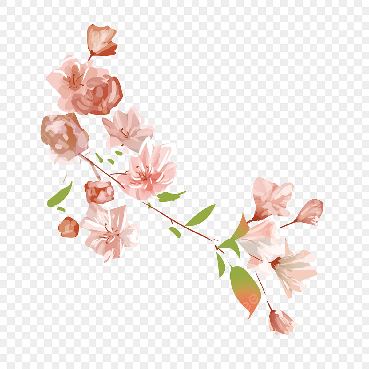 Minimalistic cute flowers transparent background for your creative needs